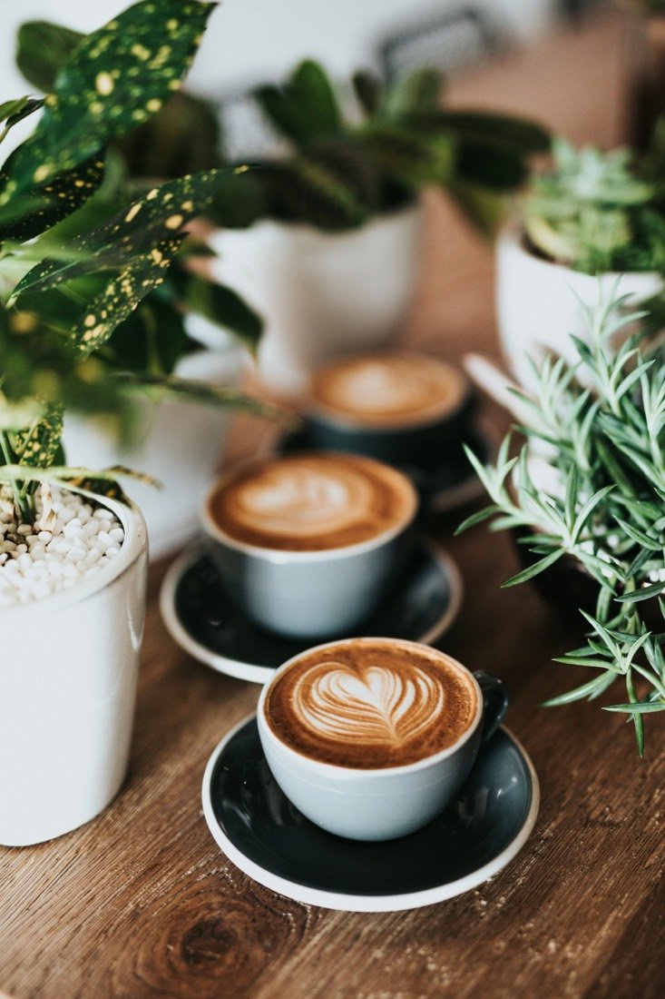 Lattes with leaf art on a wooden table